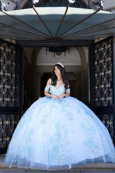 3D Floral Sleeveless Corset Ball Gown by Bella Princess PQ1048