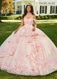 Rachel Allan RQ3100 3D Floral Sweetheart Quinceanera Dress