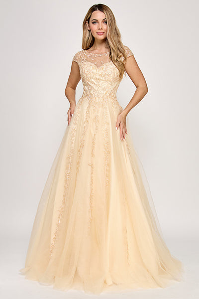 Embroidered Tulle A-Line Gown with Illusion Neckline and Lace-Up Back By Lenovia 8349