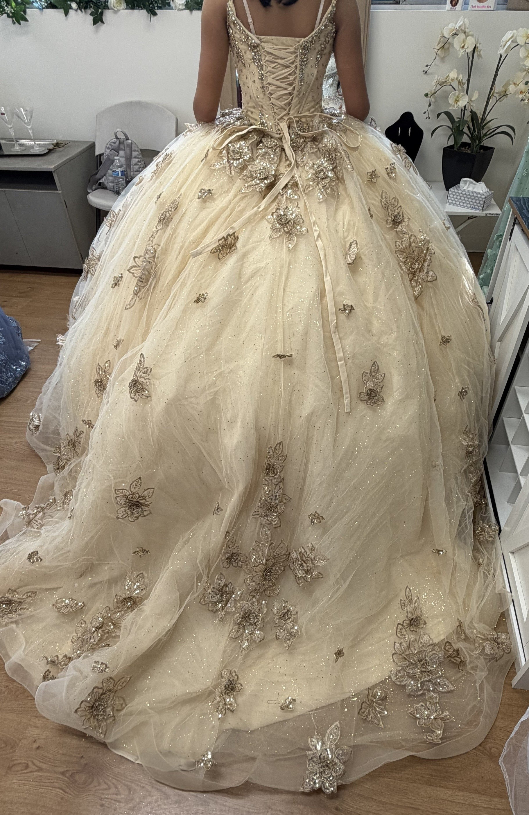 Layla K LK282 Floral Quinceañera Ball Gown with Beaded Corset Bodice