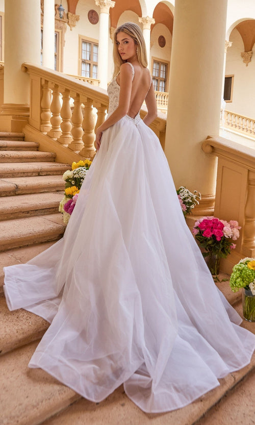 Ava Presley 47224 Long Overskirt Plunging Neckline Couture Open Back Evening Tulle Dress