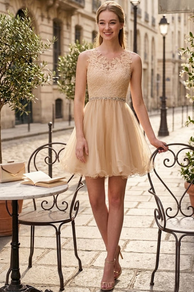 Short Sleeveless Lace Bodice Dress by Elizabeth K GS2375