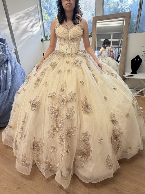 Layla K LK282 Floral Quinceañera Ball Gown with Beaded Corset Bodice