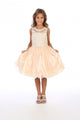Sleeveless Embroidered Little Girls Short Tulle Party Dress with Rhinestone Bodice & Lace-Up Back By AG5266