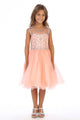 Little Girls Tulle Party Dress with Rhinestone Beaded Bodice Formal & Special Occasion Dress By AG5276