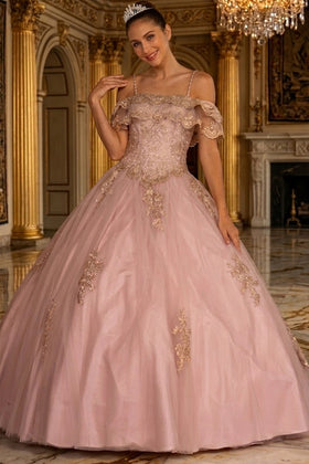 Off Shoulder Quinceañera Ball Gown Embroidered Lace-Up Back Floor Length by Elizabeth K GL2510