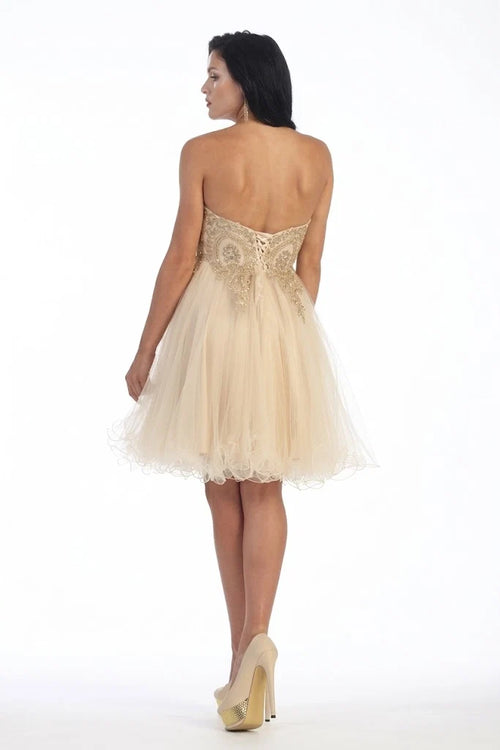 Dama Dresses for Quinceanera in Blush Style MQ1414 Quince Outfit