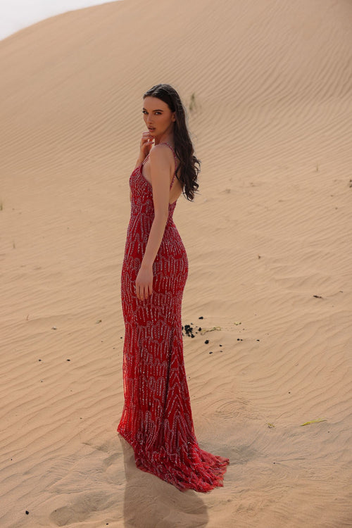 Chic and Holland BLUSH Dress