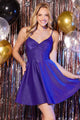 Abby Paris 94171 Short Sleeveless A-line Dress