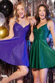 Abby Paris 94171 Short Sleeveless A-line Dress