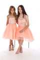 Little Girls Tulle Party Dress with Rhinestone Beaded Bodice Formal & Special Occasion Dress By AG5276