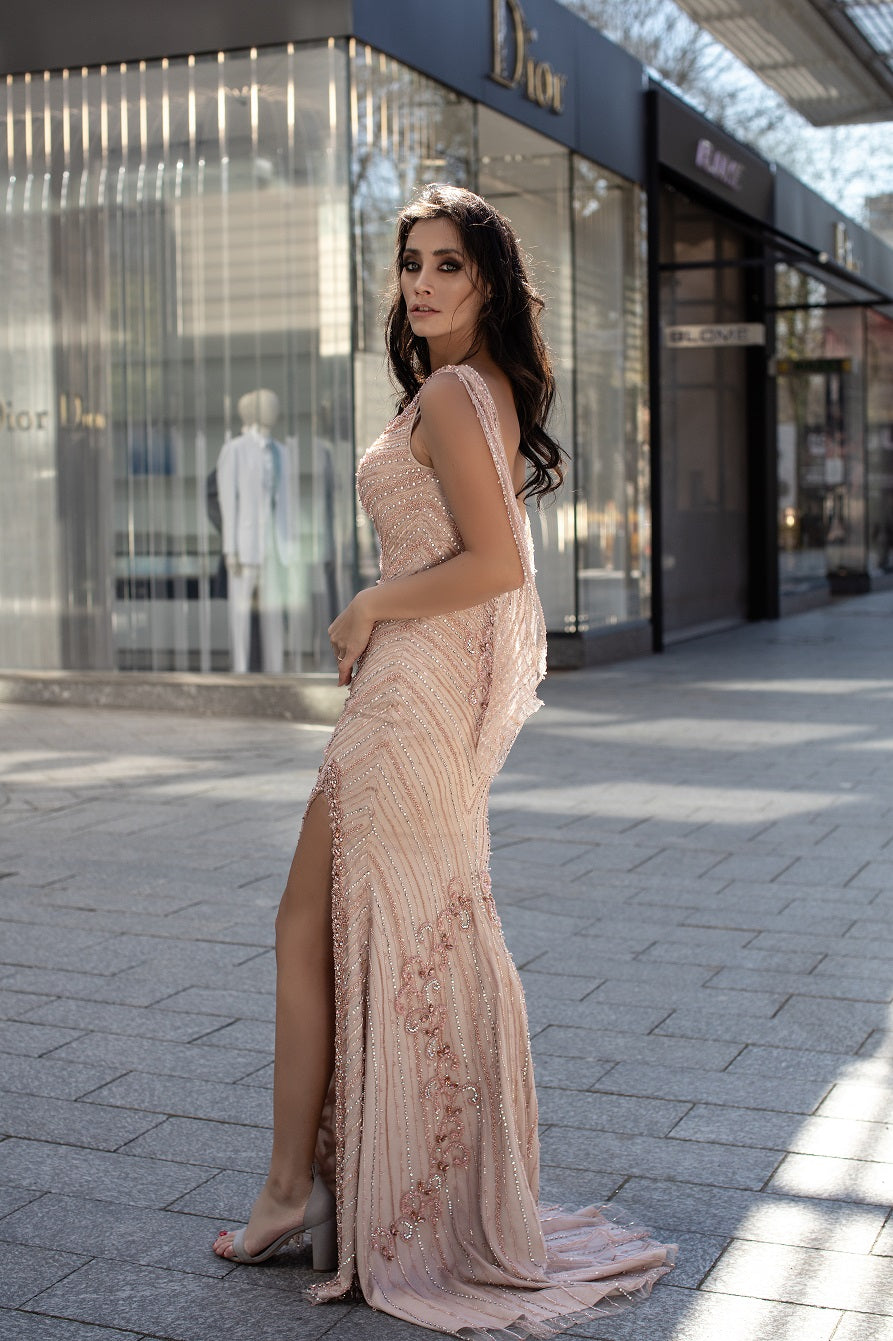 Chic and Holland Blush Dress