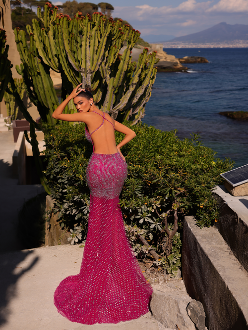 Chic and Holland Fuschia Dress