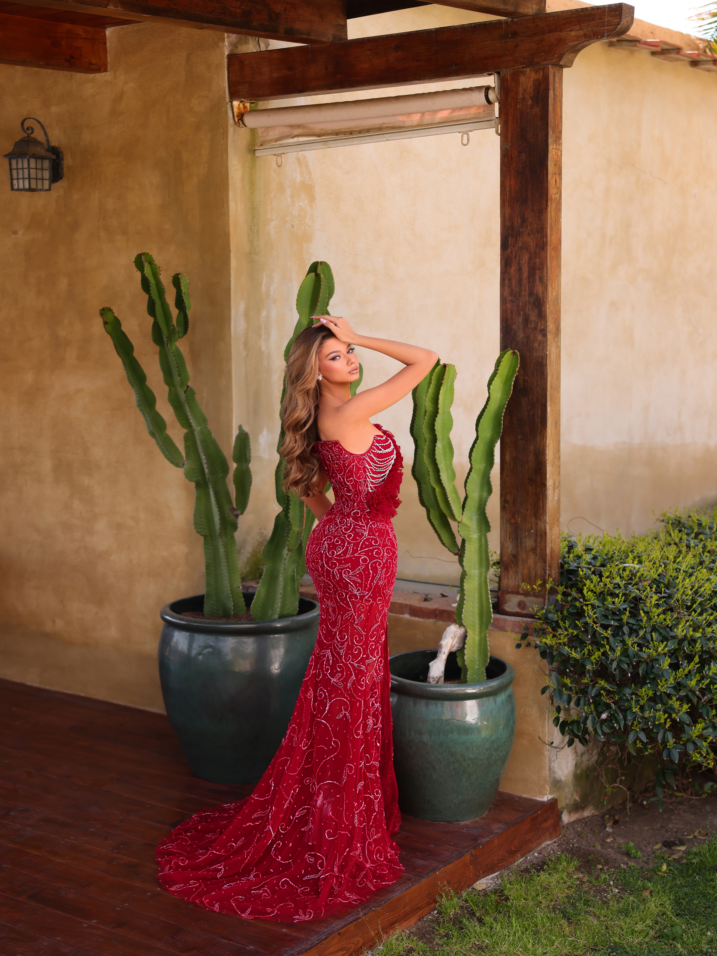 Chic and Holland Blood Red Dress