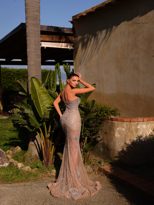 Chic and Holland Nude Dress