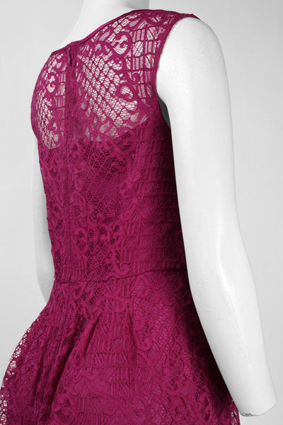 Adrianna Papell Illusion Neckline Lace Dress