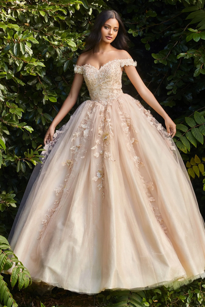 Ball Gown Wedding Dresses