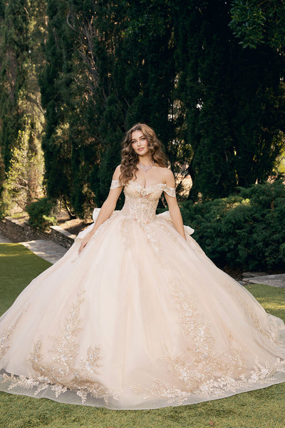 Applique Off Shoulder Ball Gown by Bella Princess PQ1082