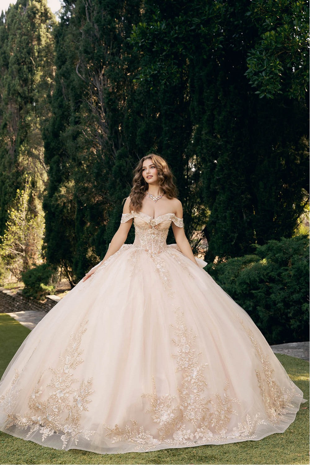 Applique Off Shoulder Ball Gown by Bella Princess PQ1082