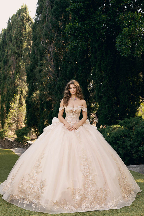 Applique Off Shoulder Ball Gown by Bella Princess PQ1082