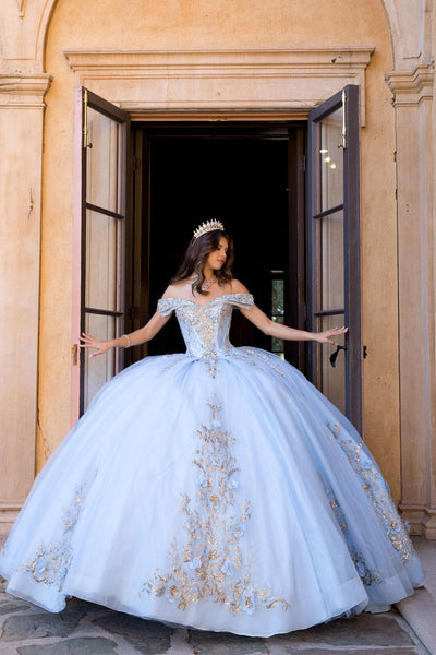 Off Shoulder Ball Gown by Bella Princess PQ1068