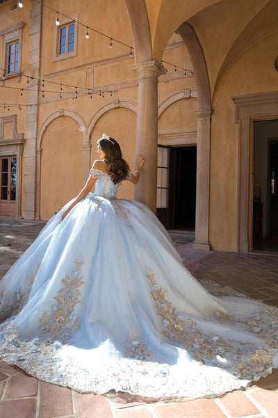 Off Shoulder Ball Gown by Bella Princess PQ1068