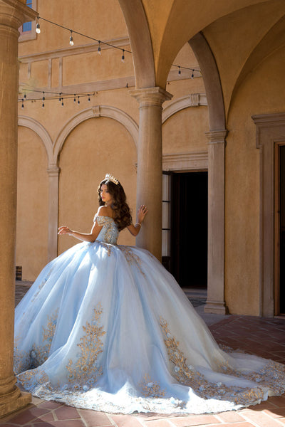 Off Shoulder Ball Gown by Bella Princess PQ1068