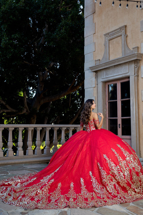 Off Shoulder Long Sleeve Ball Gown by Bella Princess PQ1065