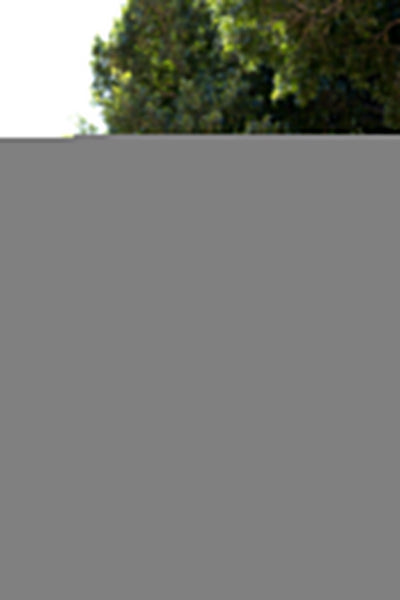 Rose Charro Ball Gown by Bella Princess PQ1083