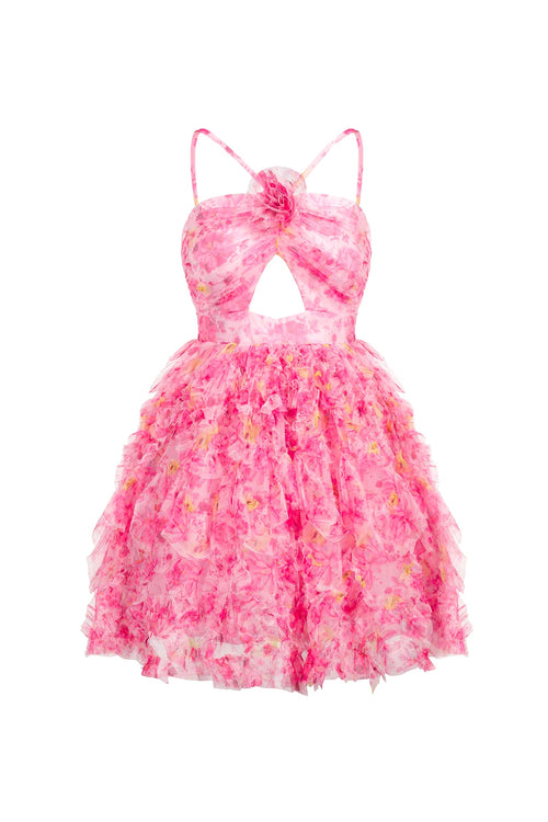 Bella Barnett C-Dresses