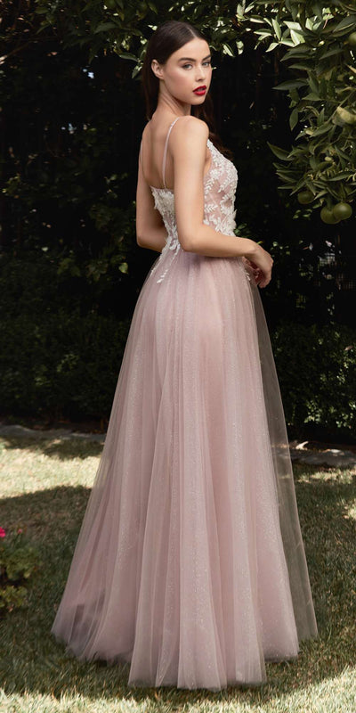 Cinderella Divine CB075 Long Floral A-Line Tulle Gown