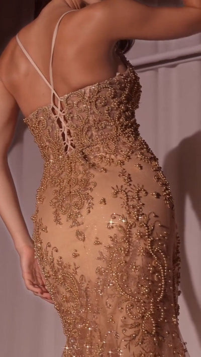 Ladivine Pearl & Lace Embellished Gown