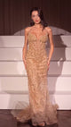 Ladivine Pearl & Lace Embellished Gown