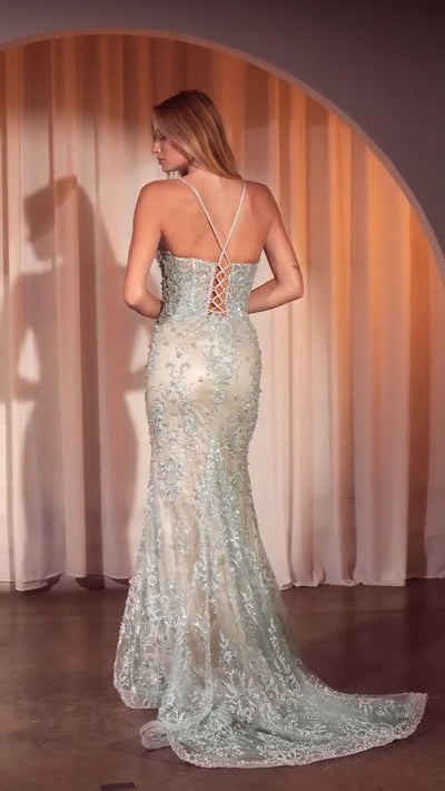 Ladivine Pearl & Lace Embellished Gown