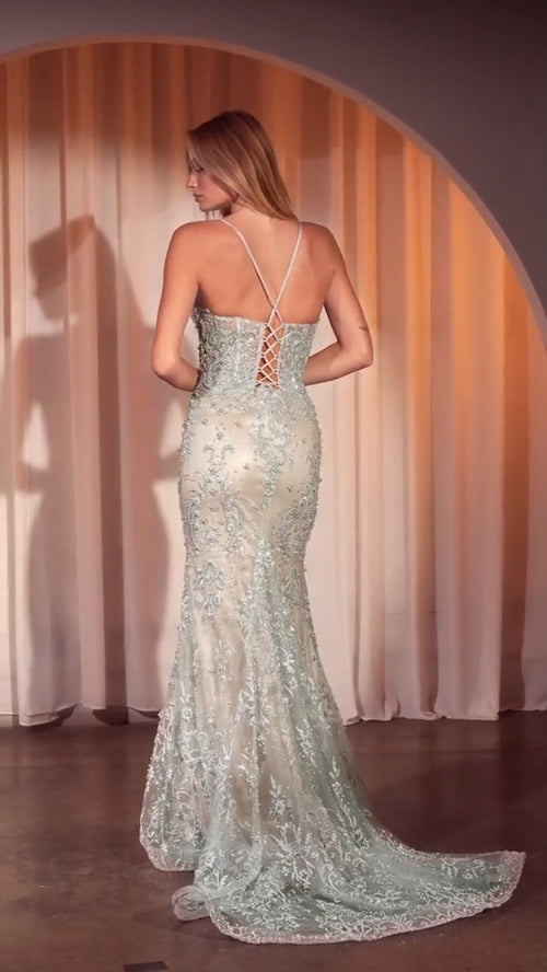 Ladivine Pearl & Lace Embellished Gown