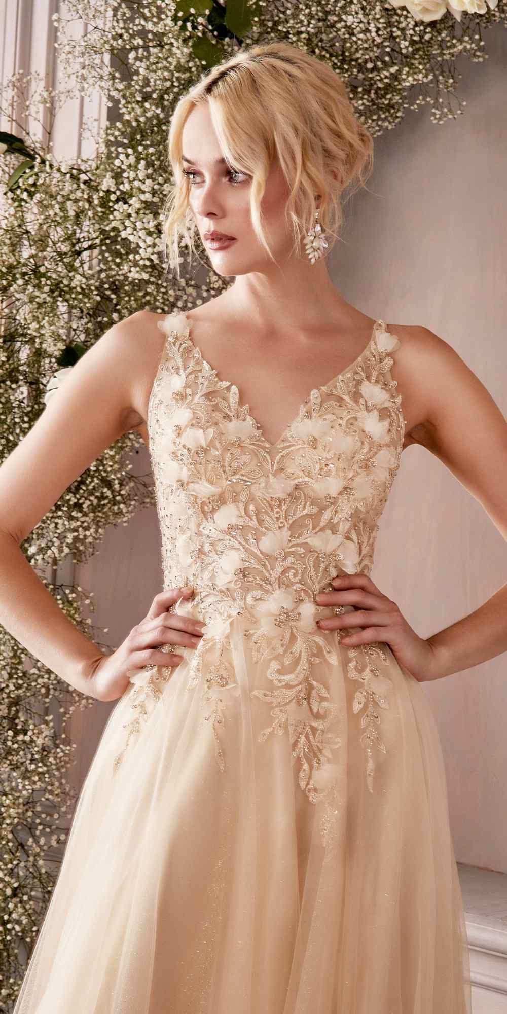 Cinderella Divine CD0181 Dress