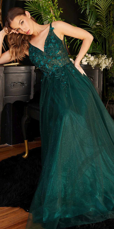 Elegant Champagne Lace Evening Dress