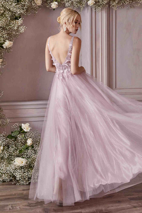 Elegant Champagne Lace Evening Dress