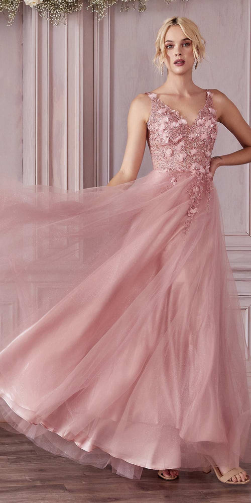 Elegant Champagne Lace Evening Dress