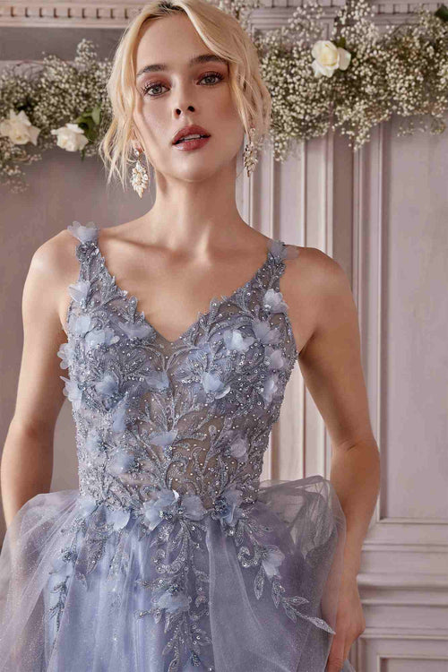 Elegant Champagne Lace Evening Dress