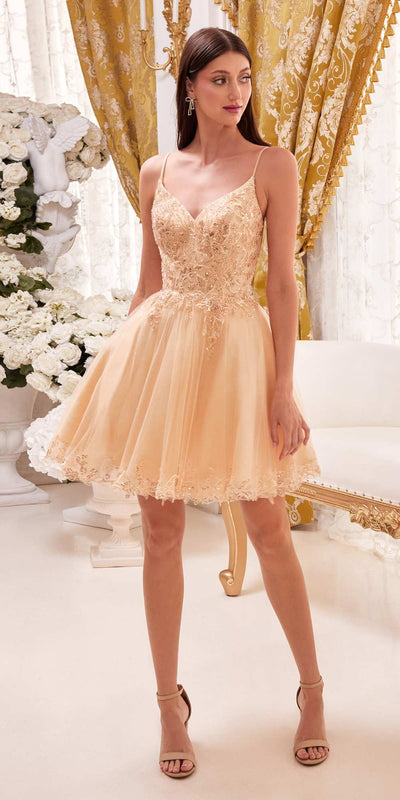 Ladivine CD0213 Dress | Cinderella Divine CD0213