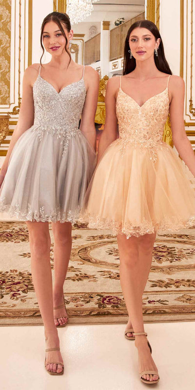 Ladivine CD0213 Dress | Cinderella Divine CD0213