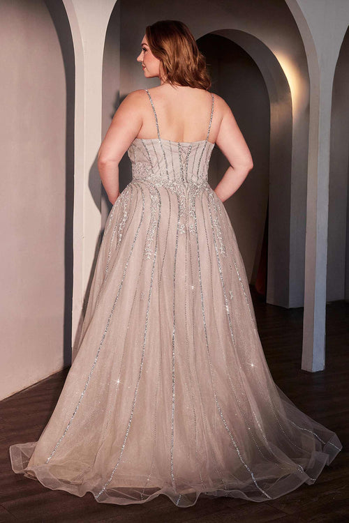 Ladivine CD786C Blue Plus Size A-Line Tulle Dress