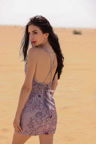 Chic and Holland BLUSH Dress
