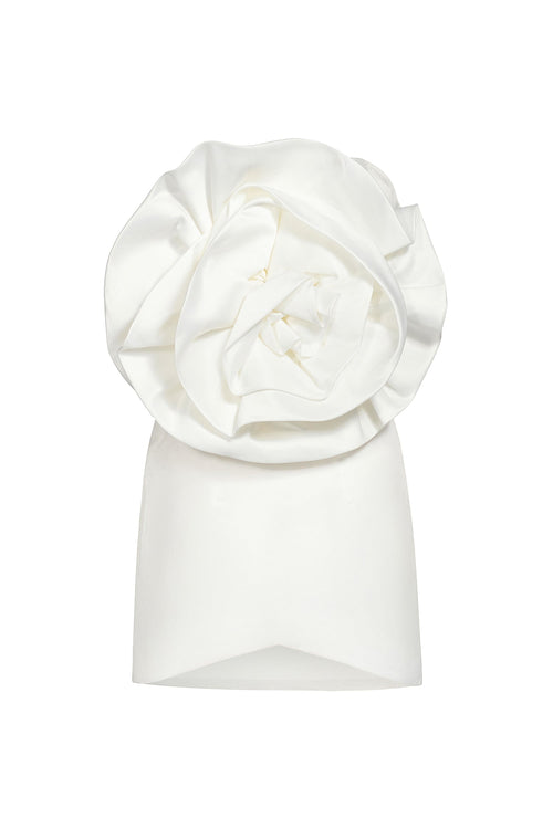 Bella Barnett Dresses