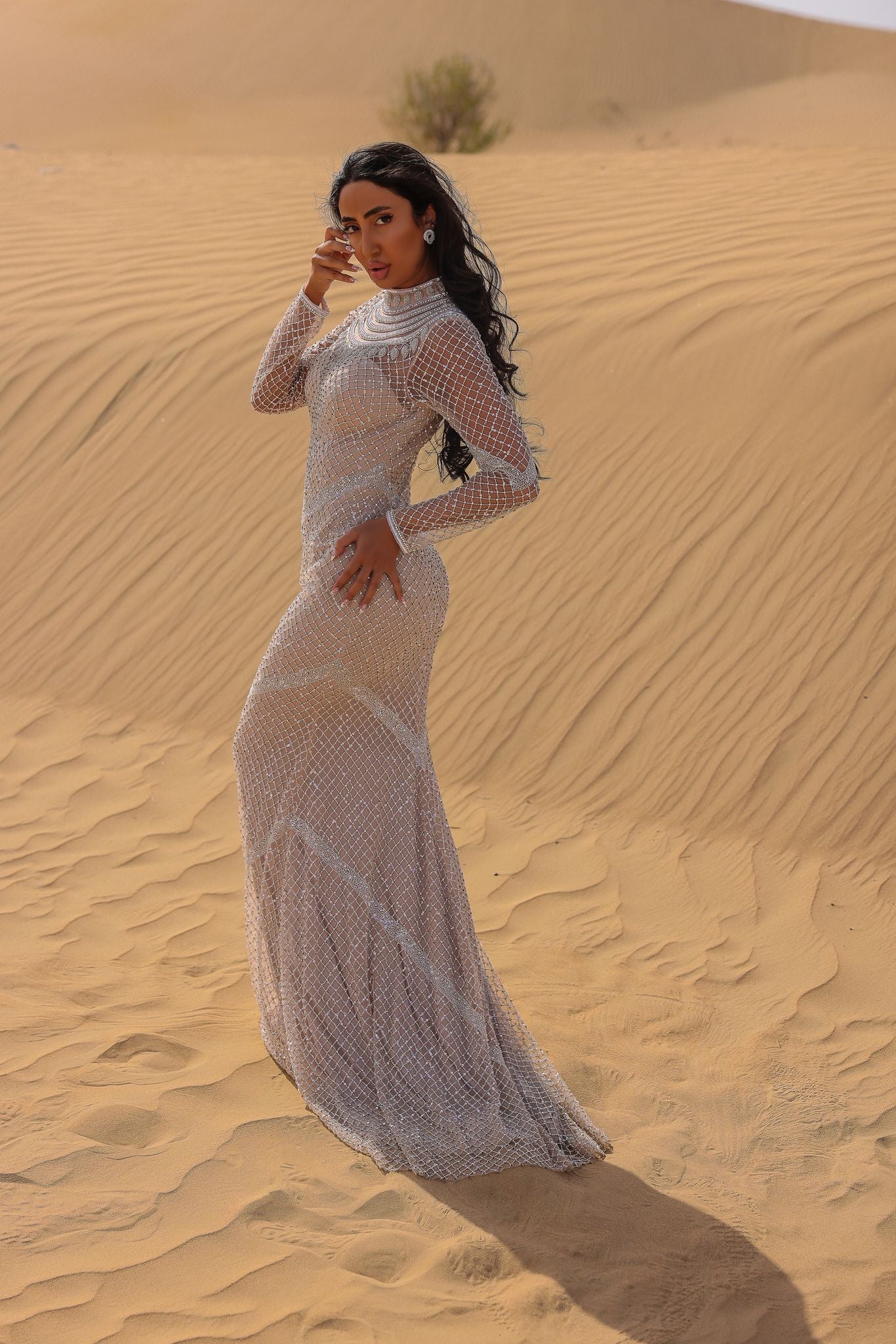 Chic and Holland BLUSH Dress