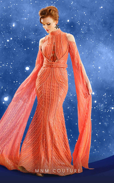 Fouad Sarkis Embroidered Mesh Gown with Cape Sleeves