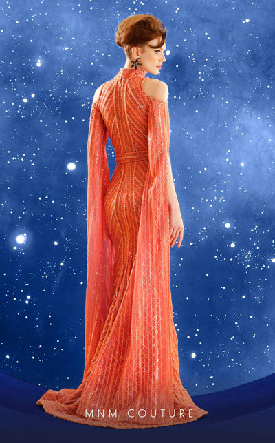 Fouad Sarkis Embroidered Mesh Gown with Cape Sleeves