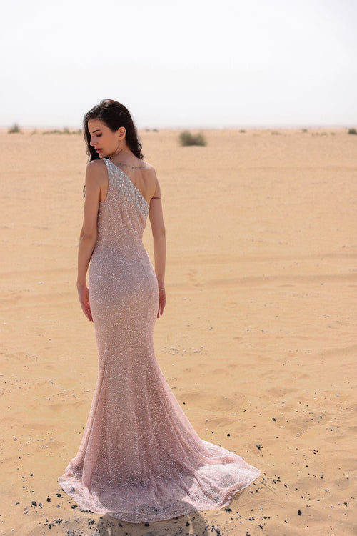 Chic and Holland BLUSH Dress
