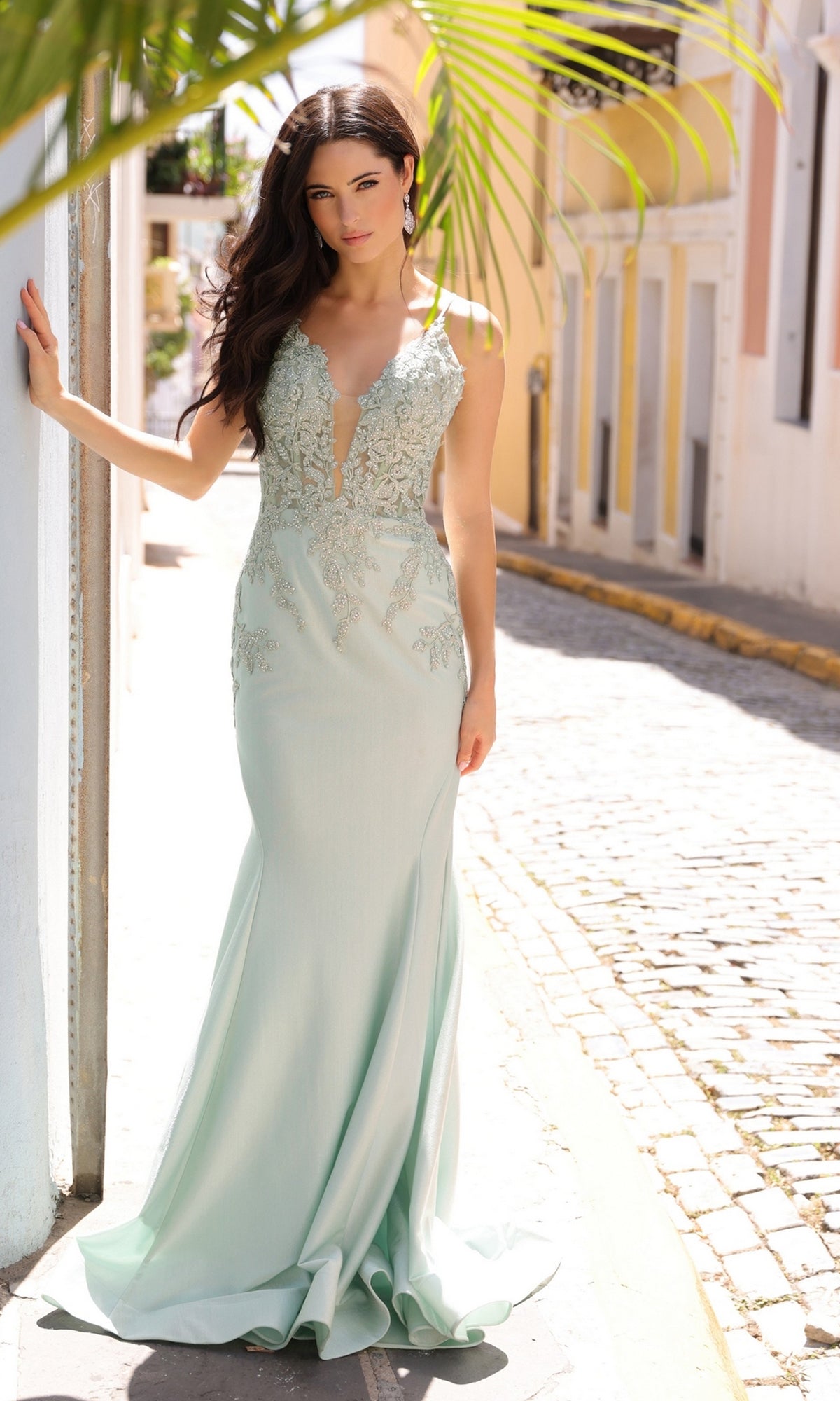 Embroidered Bodice Lace-Up Long Prom Dress G1364